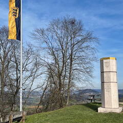 25-03-21 15-33-12 2500